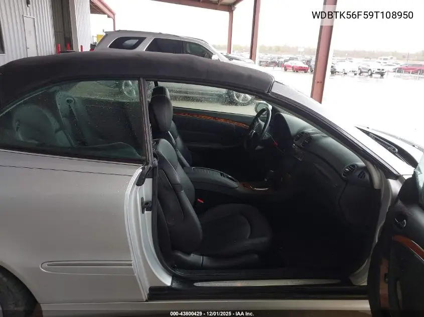 WDBTK56F59T108950 2009 Mercedes-Benz Clk 350