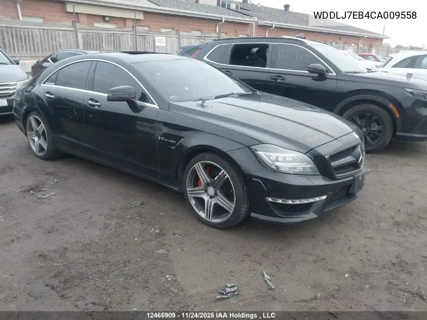 WDDLJ7EB4CA009558 2012 Mercedes-Benz Cls 63 Amg