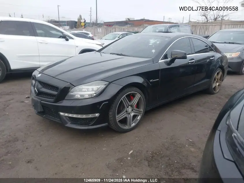 WDDLJ7EB4CA009558 2012 Mercedes-Benz Cls 63 Amg