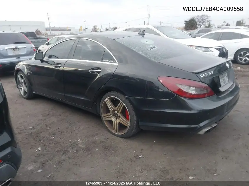 WDDLJ7EB4CA009558 2012 Mercedes-Benz Cls 63 Amg