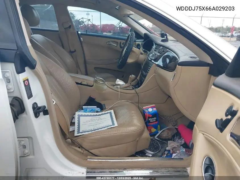 WDDDJ75X66A029203 2006 Mercedes-Benz Cls 500