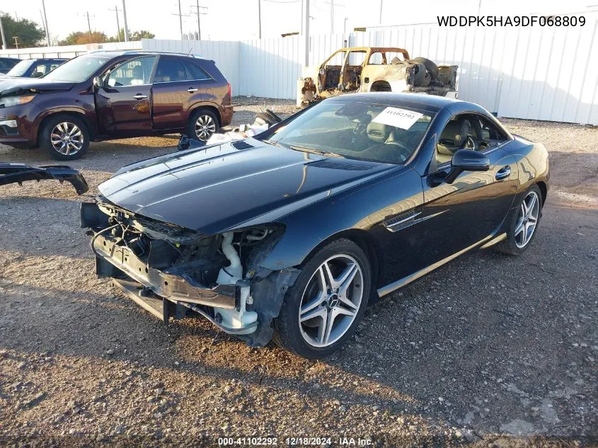 2013 Mercedes-Benz Slk 350 VIN: WDDPK5HA9DF068809 Lot: 41102292