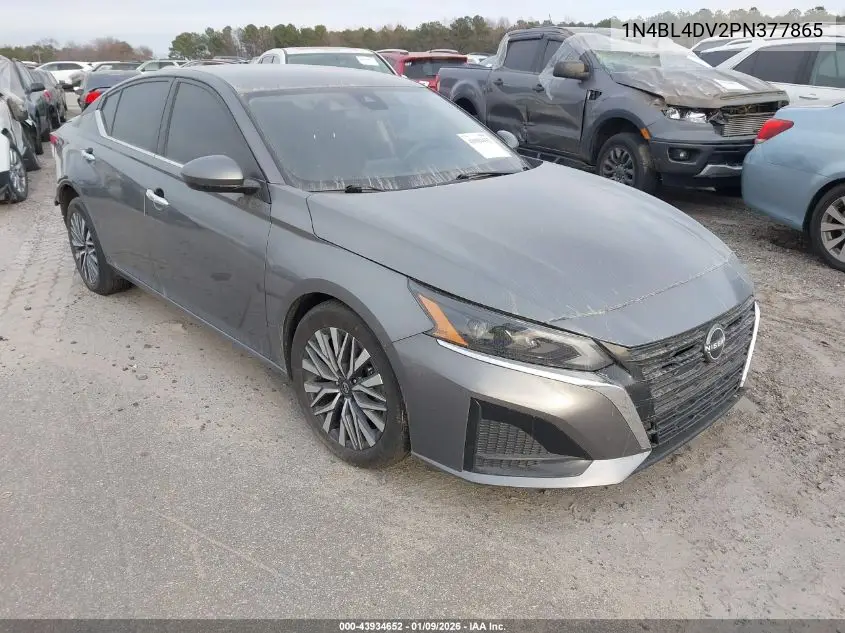 1N4BL4DV2PN377865 2023 Nissan Altima Sv Fwd