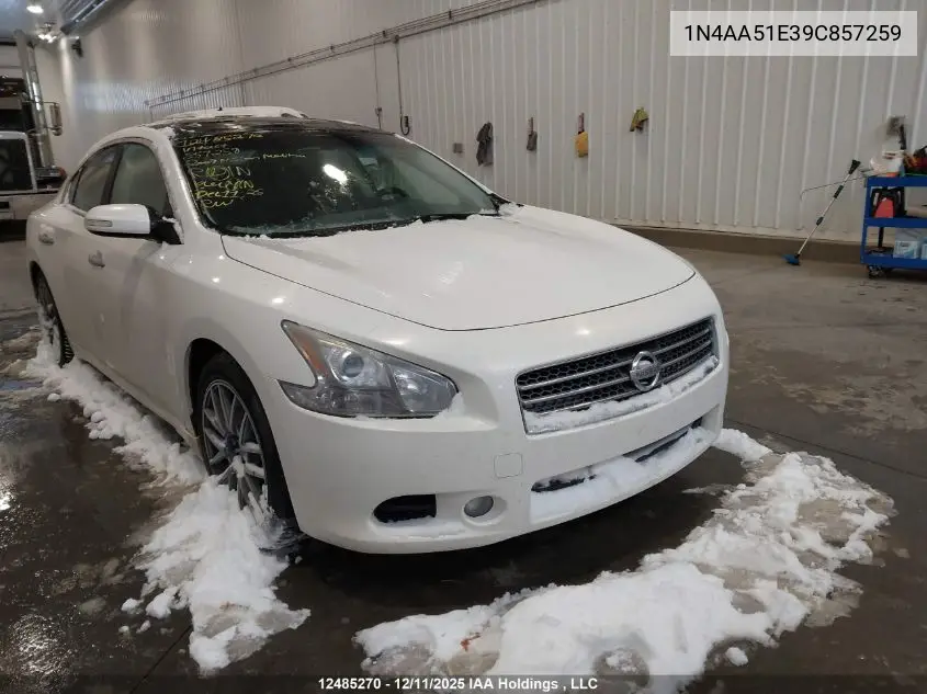 1N4AA51E39C857259 2009 Nissan Maxima 3.5 S