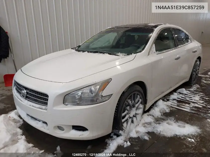 1N4AA51E39C857259 2009 Nissan Maxima 3.5 S