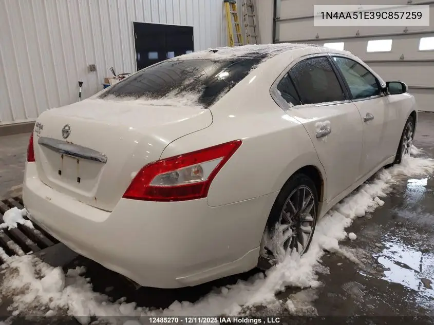 1N4AA51E39C857259 2009 Nissan Maxima 3.5 S