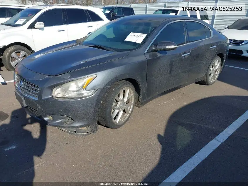 1N4AA5APXAC825253 2010 Nissan Maxima 3.5 Sv