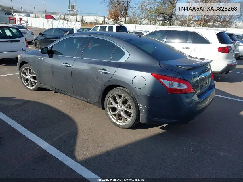 1N4AA5APXAC825253 2010 Nissan Maxima 3.5 Sv