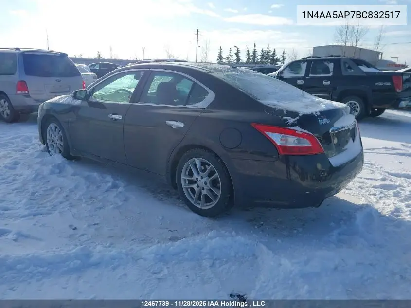 1N4AA5AP7BC832517 2011 Nissan Maxima 3.5 S