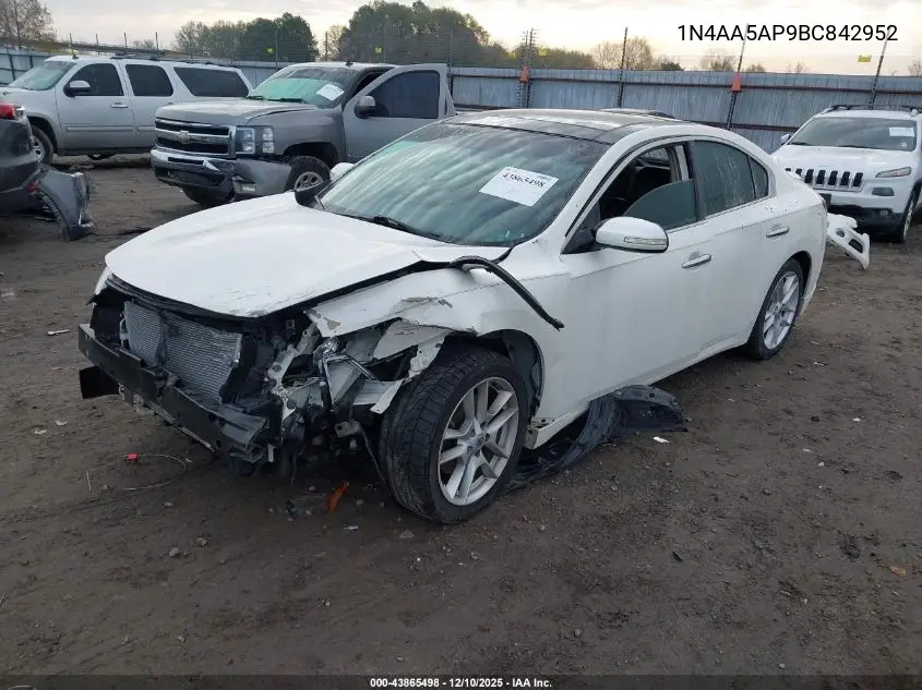 1N4AA5AP9BC842952 2011 Nissan Maxima 3.5 Sv