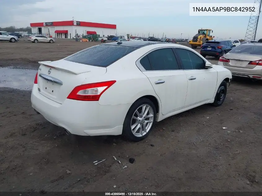 1N4AA5AP9BC842952 2011 Nissan Maxima 3.5 Sv