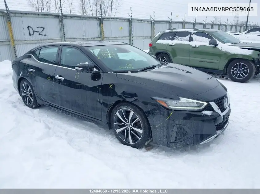 1N4AA6DV8PC509665 2023 Nissan Maxima Sl