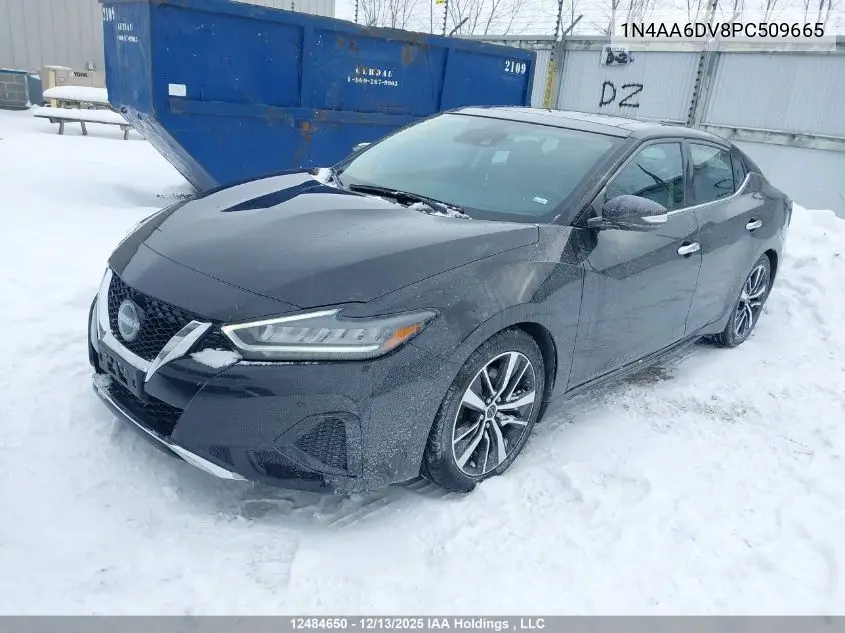 1N4AA6DV8PC509665 2023 Nissan Maxima Sl