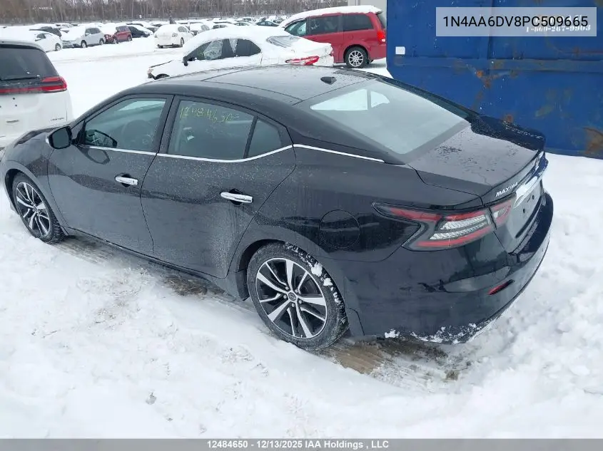 1N4AA6DV8PC509665 2023 Nissan Maxima Sl