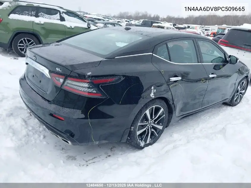 1N4AA6DV8PC509665 2023 Nissan Maxima Sl