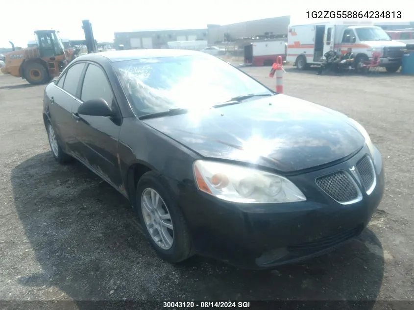 2006 Pontiac G6 Se1 VIN: 1G2ZG558864234813 Lot: 30043120