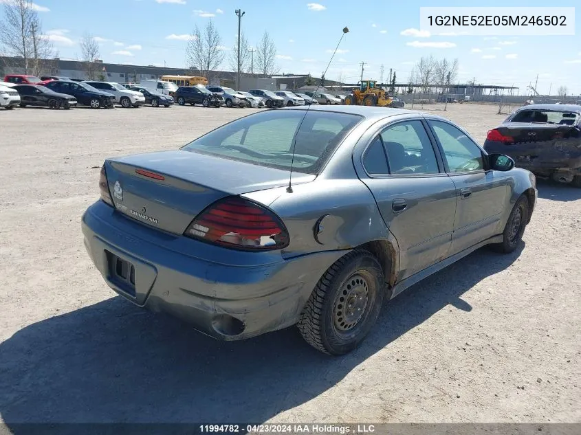 1G2NE52E05M246502 2005 Pontiac Grand Am Se