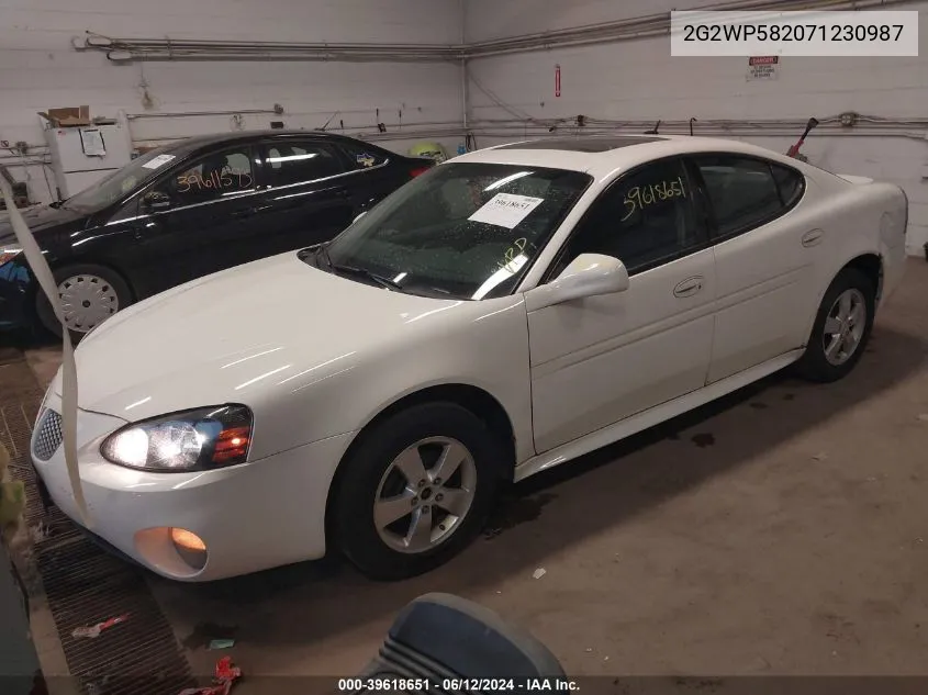 2007 Pontiac Grand Prix VIN: 2G2WP582071230987 Lot: 39618651