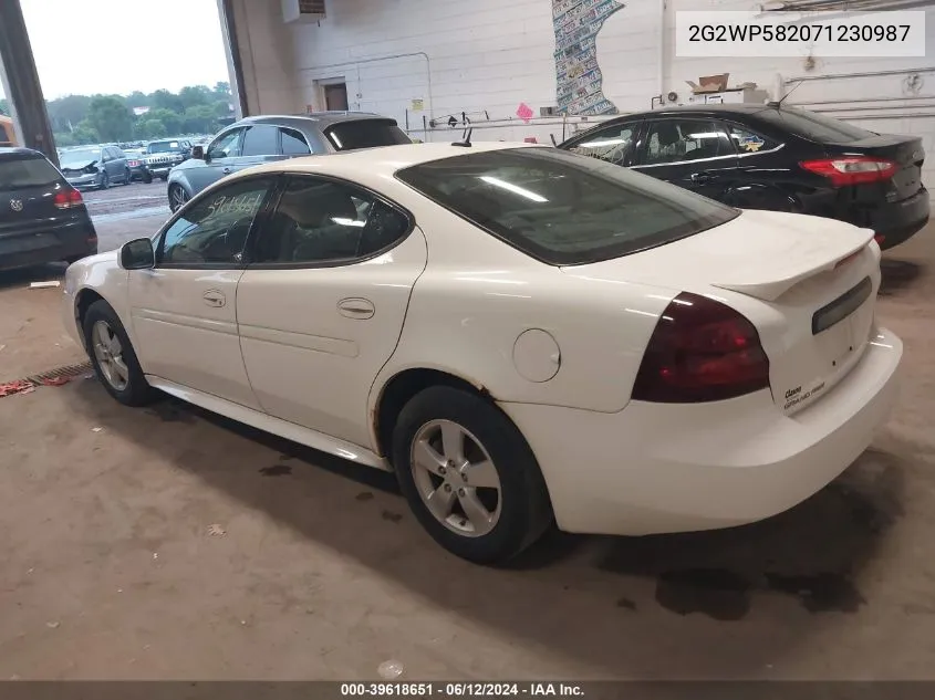 2007 Pontiac Grand Prix VIN: 2G2WP582071230987 Lot: 39618651