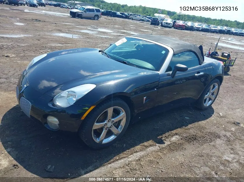 2008 Pontiac Solstice VIN: 1G2MC35B68Y125316 Lot: 39874571