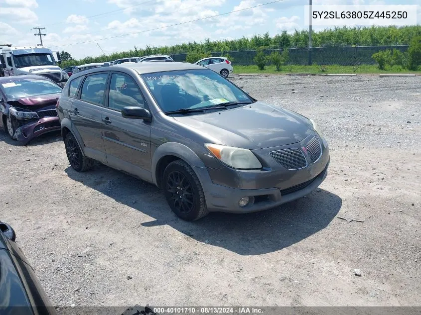 2005 Pontiac Vibe VIN: 5Y2SL63805Z445250 Lot: 40101710