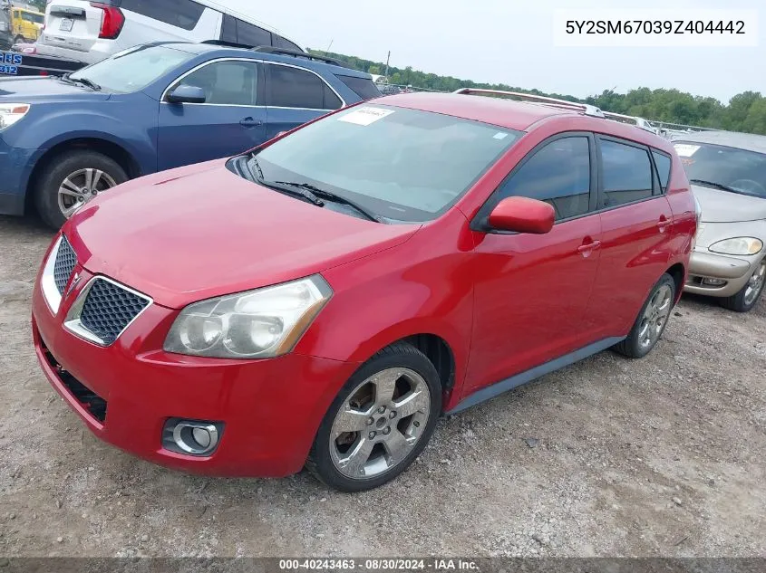 2009 Pontiac Vibe VIN: 5Y2SM67039Z404442 Lot: 40243463