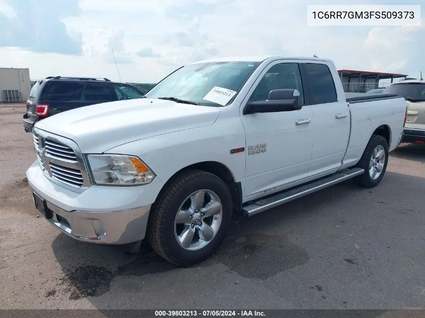 2015 Ram 1500 Big Horn VIN: 1C6RR7GM3FS509373 Lot: 39803213