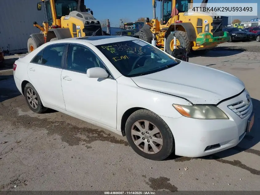 4T1BK46K29U593493 2009 Toyota Camry Xle V6