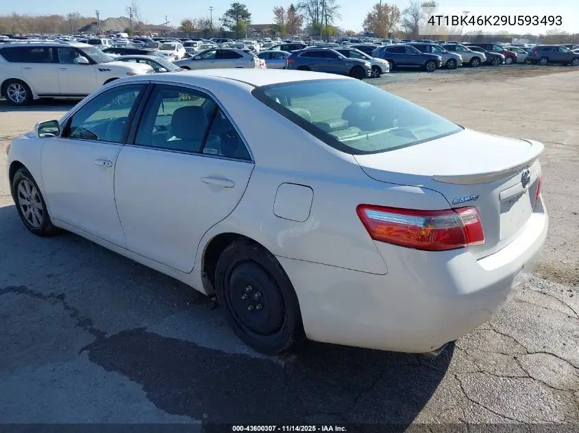 4T1BK46K29U593493 2009 Toyota Camry Xle V6