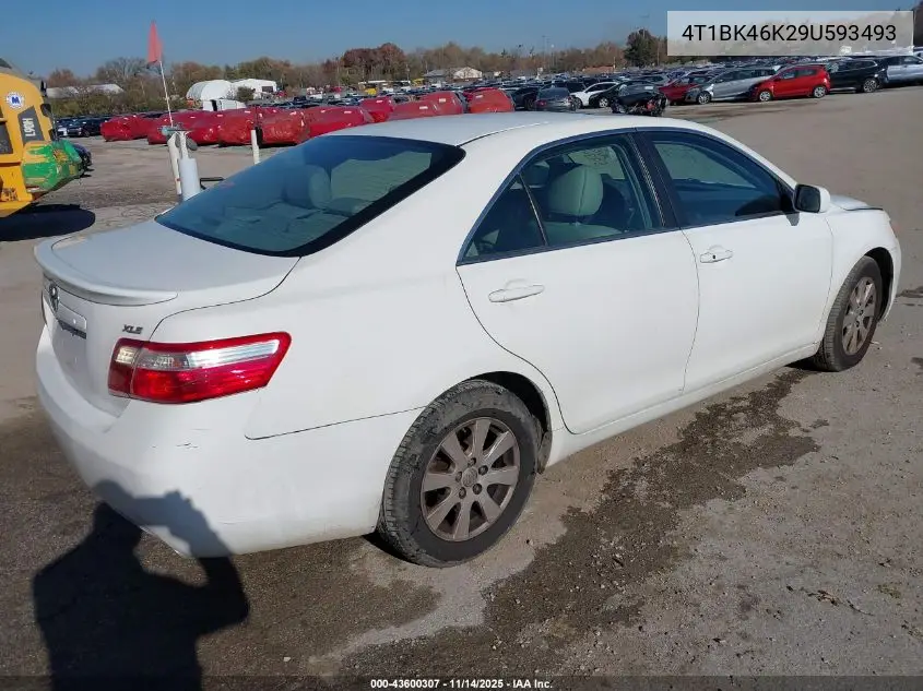 4T1BK46K29U593493 2009 Toyota Camry Xle V6