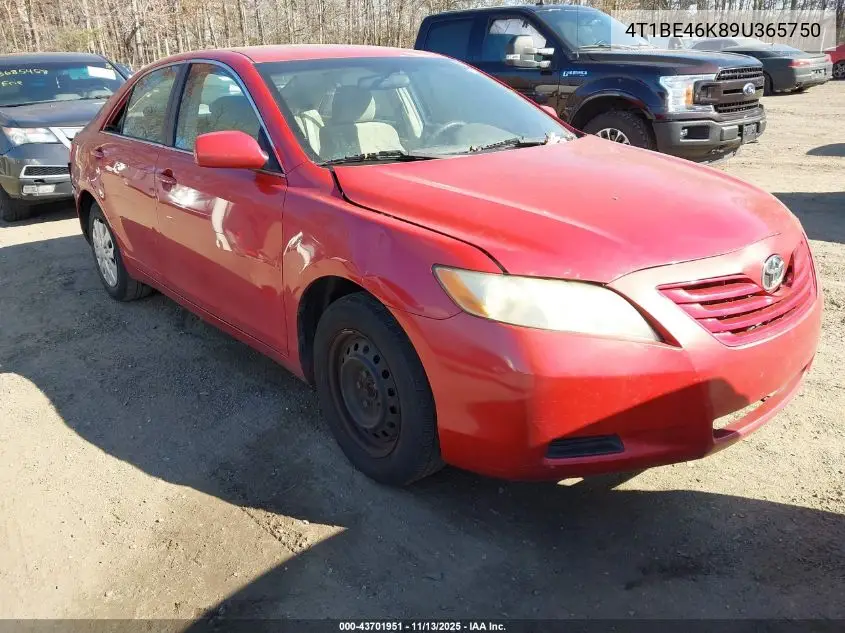4T1BE46K89U365750 2009 Toyota Camry Le