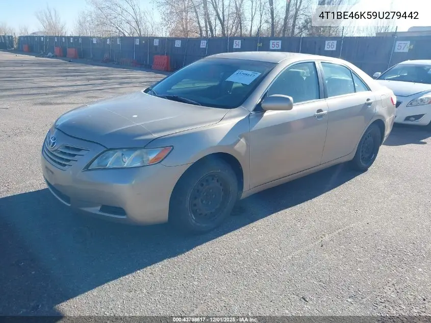 4T1BE46K59U279442 2009 Toyota Camry