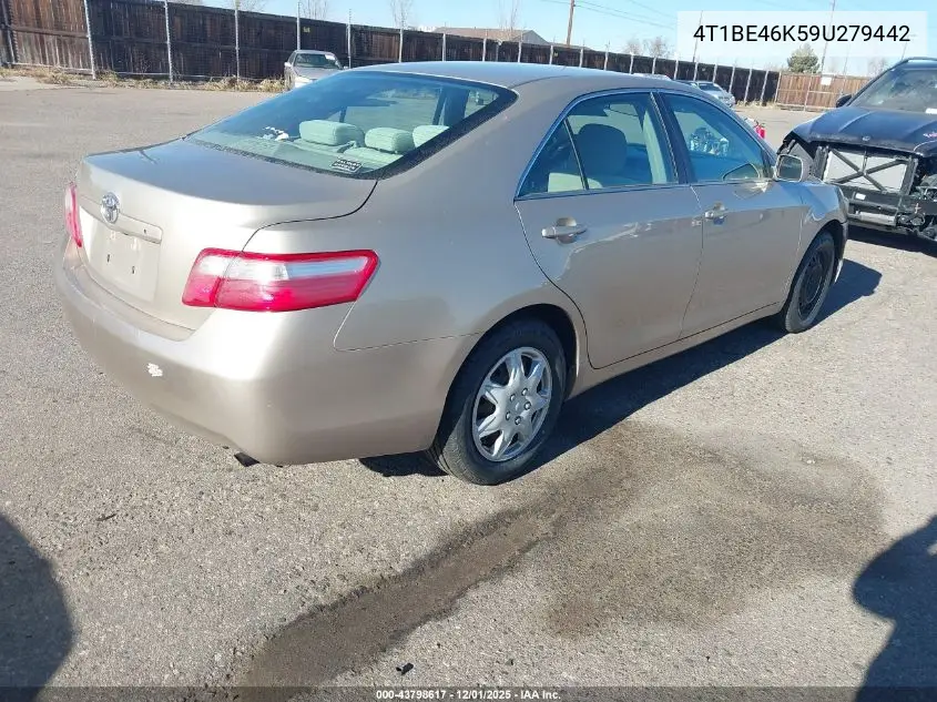 4T1BE46K59U279442 2009 Toyota Camry