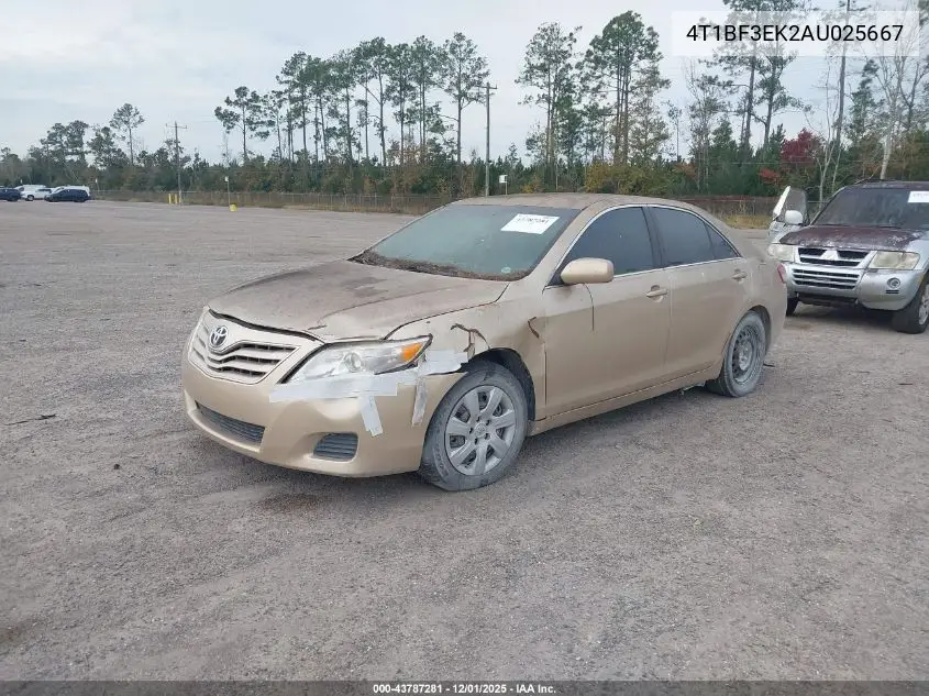 4T1BF3EK2AU025667 2010 Toyota Camry