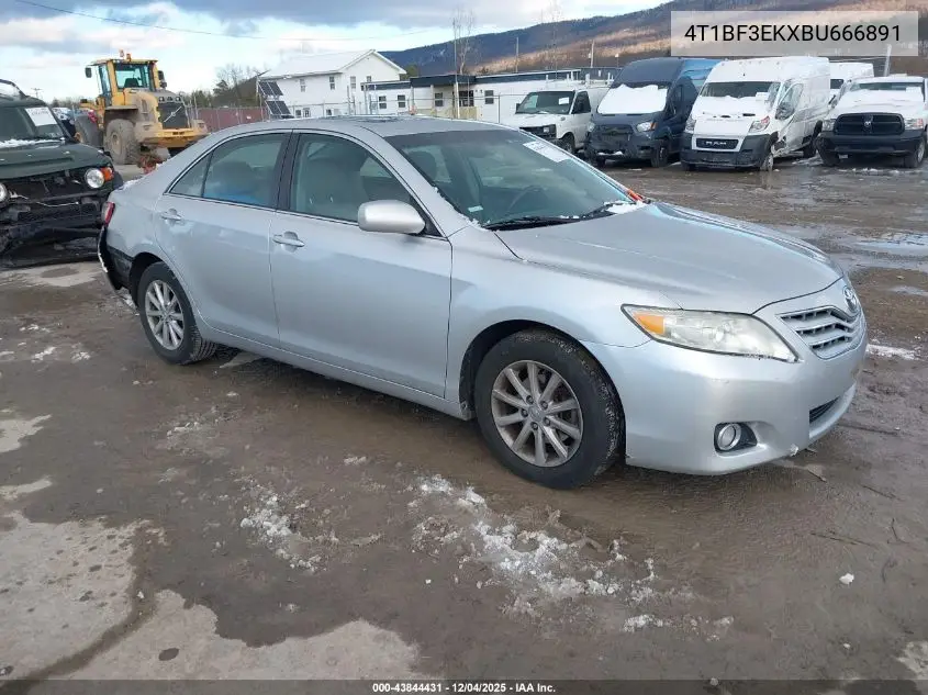 4T1BF3EKXBU666891 2011 Toyota Camry Xle