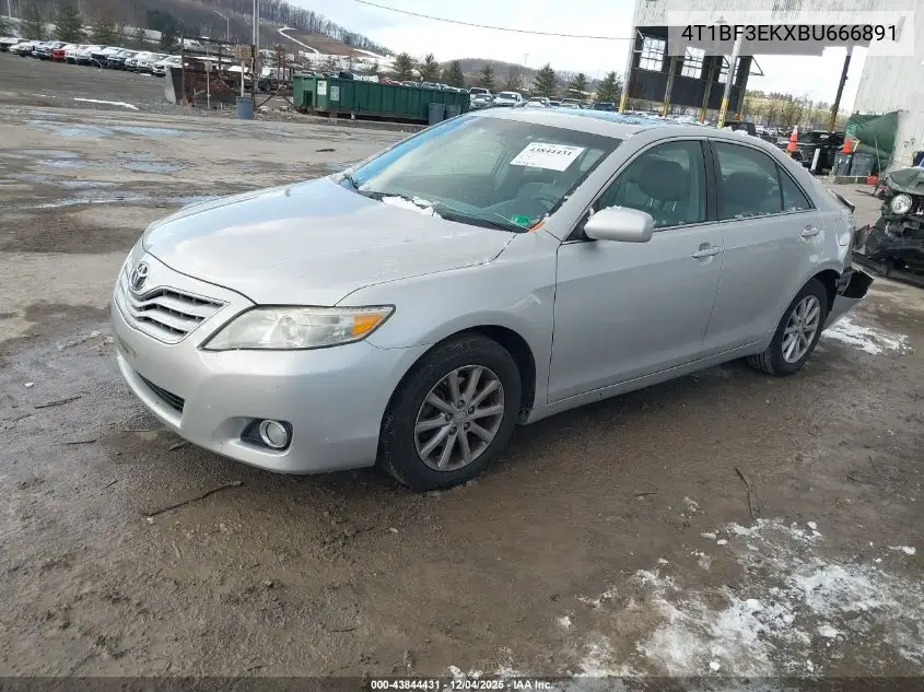 4T1BF3EKXBU666891 2011 Toyota Camry Xle
