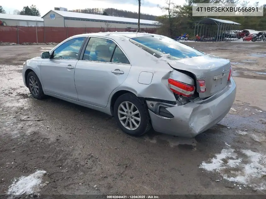 4T1BF3EKXBU666891 2011 Toyota Camry Xle