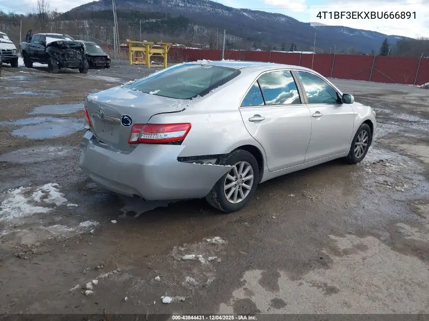 4T1BF3EKXBU666891 2011 Toyota Camry Xle