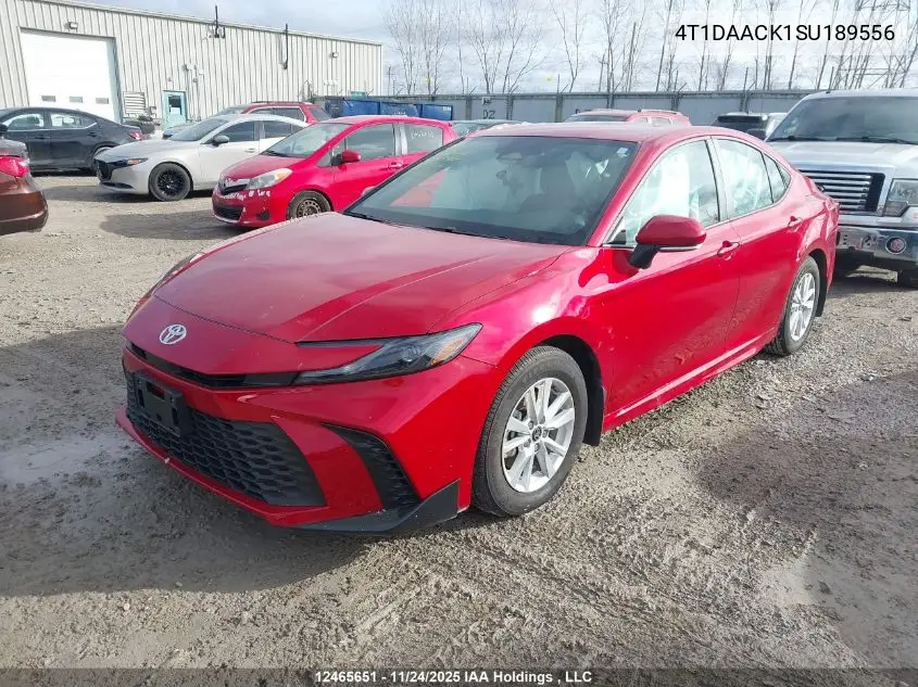 4T1DAACK1SU189556 2025 Toyota Camry