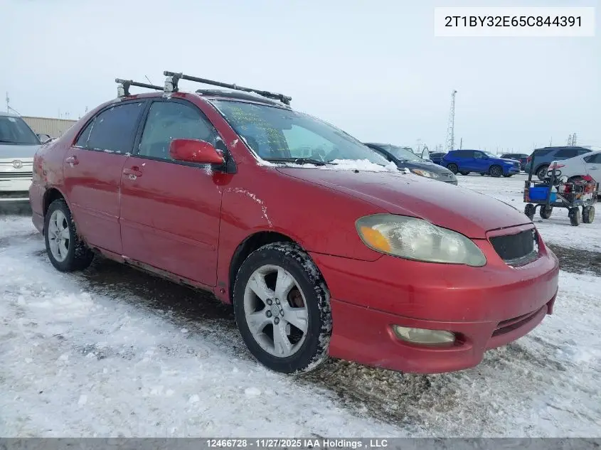 2T1BY32E65C844391 2005 Toyota Corolla