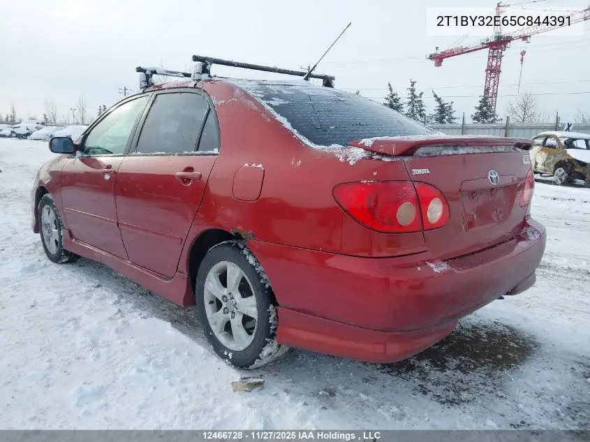 2T1BY32E65C844391 2005 Toyota Corolla