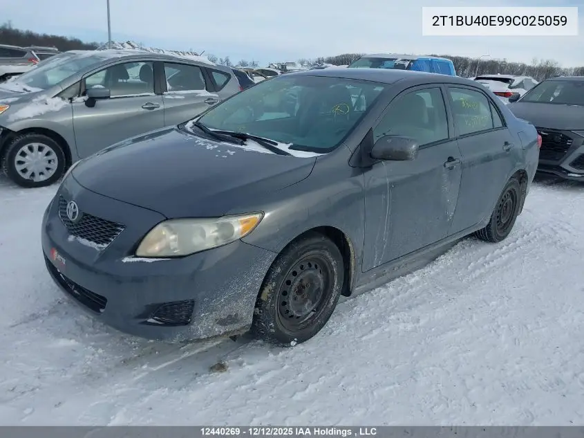 2T1BU40E99C025059 2009 Toyota Corolla Ce