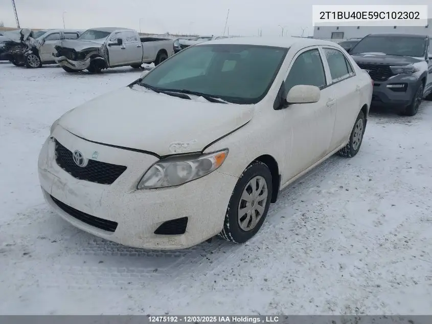 2T1BU40E59C102302 2009 Toyota Corolla Ce