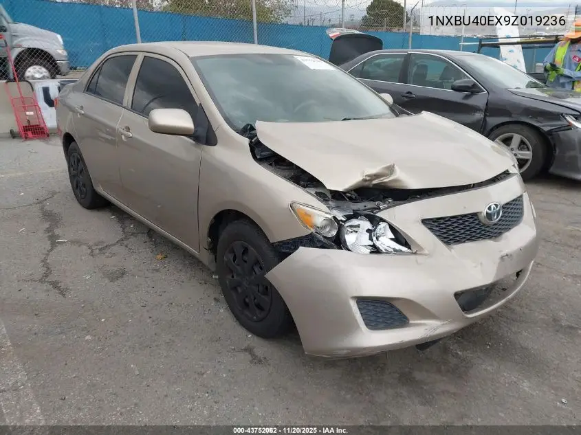 1NXBU40EX9Z019236 2009 Toyota Corolla Le