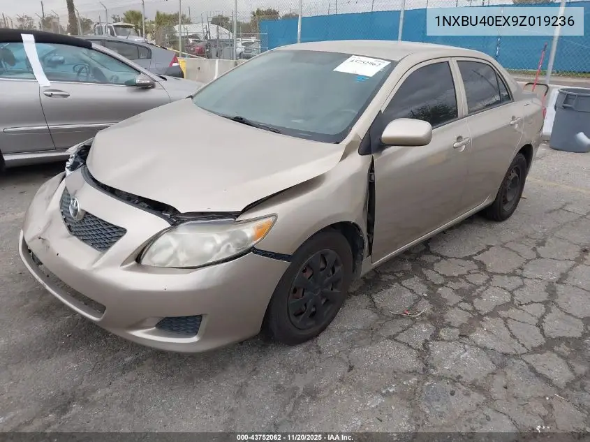 1NXBU40EX9Z019236 2009 Toyota Corolla Le