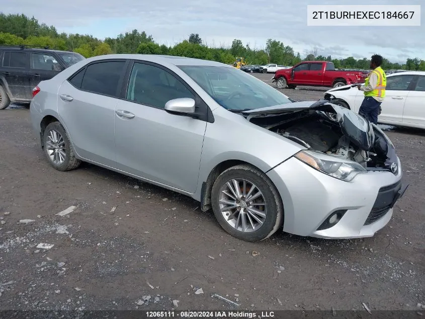 2014 Toyota Corolla VIN: 2T1BURHEXEC184667 Lot: 12065111