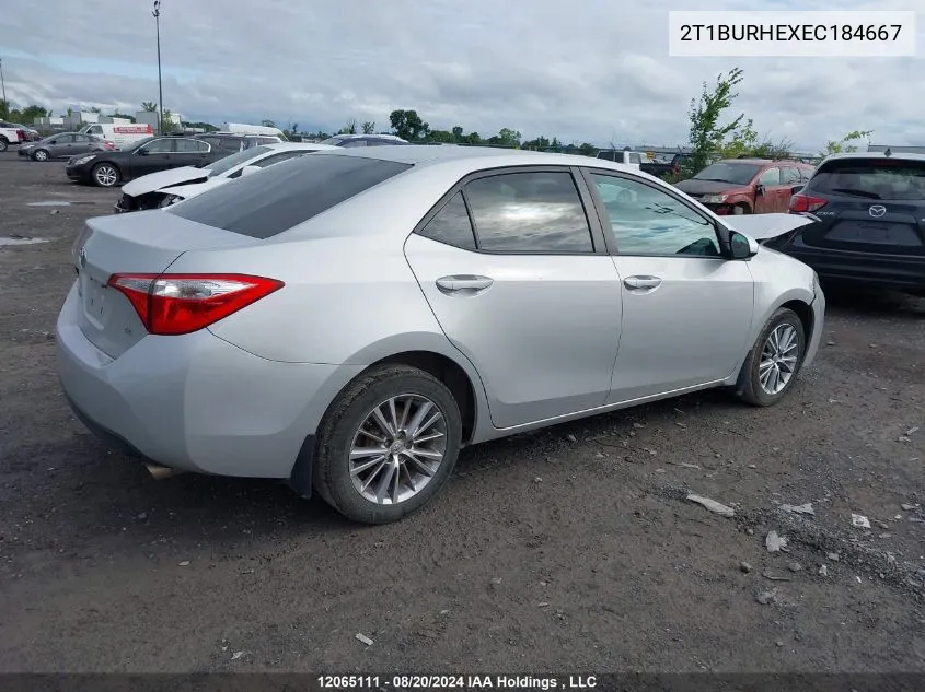 2T1BURHEXEC184667 2014 Toyota Corolla