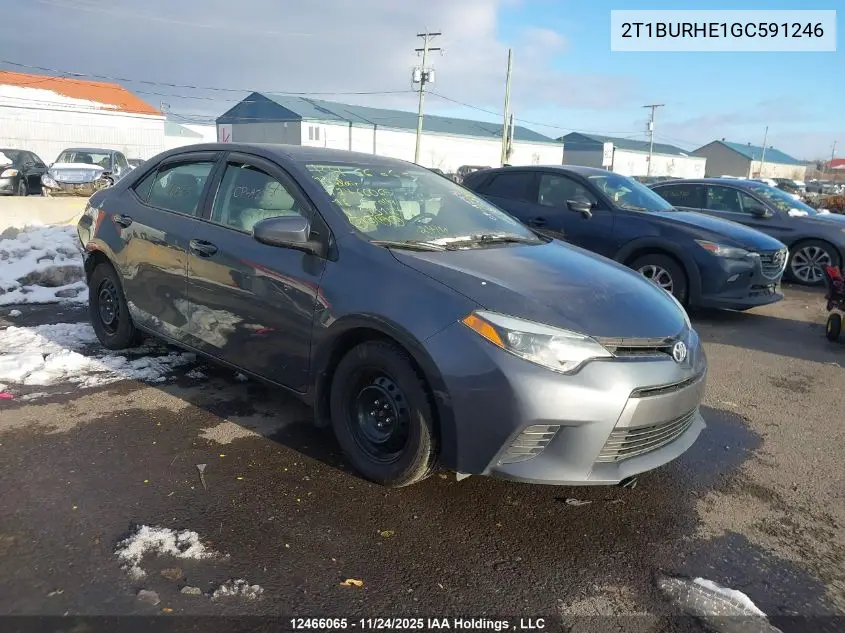 2T1BURHE1GC591246 2016 Toyota Corolla