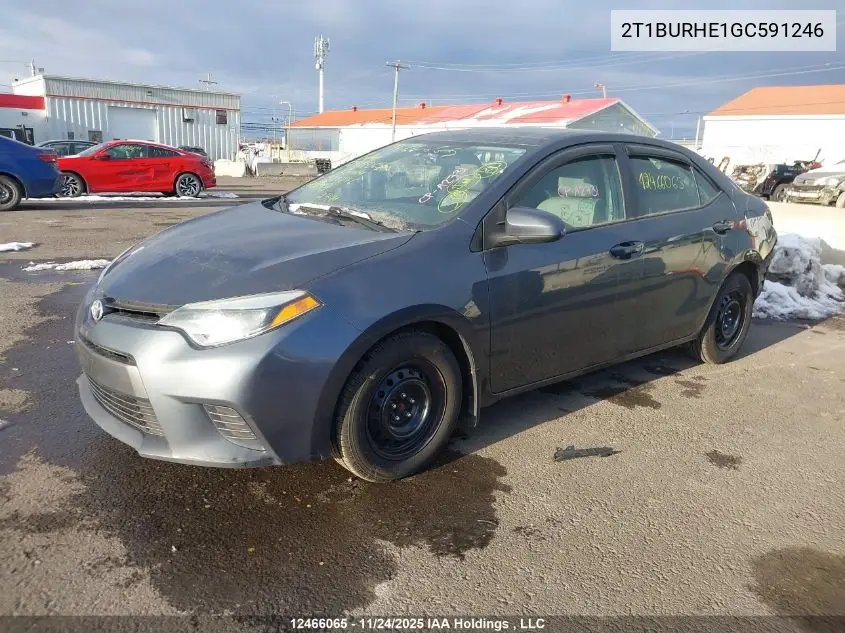 2T1BURHE1GC591246 2016 Toyota Corolla