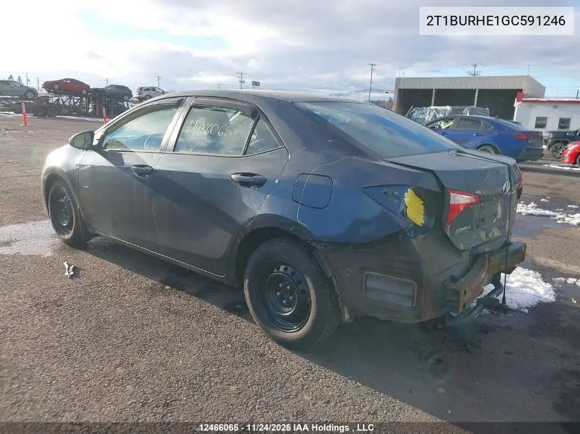 2T1BURHE1GC591246 2016 Toyota Corolla